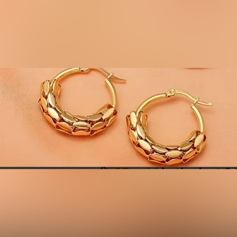 Hoop Earrings